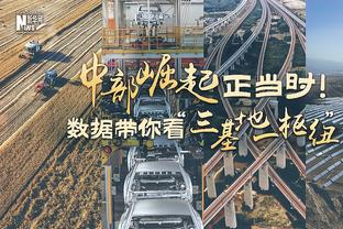 里夫斯：掘金充满身体对抗 他们有约基奇和戈登两个篮板好手